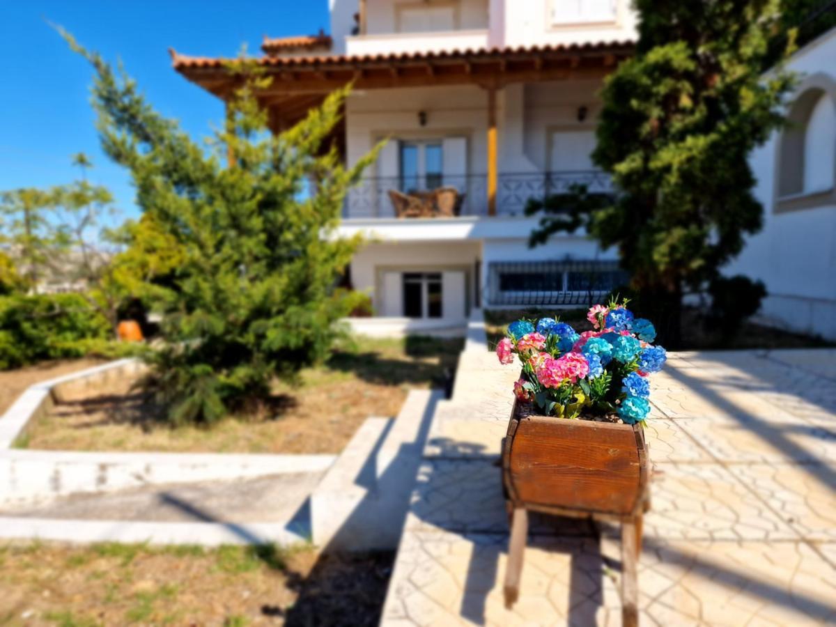 Villa Liana : Luxury Villa With Fantastic Sea View, Near Airport Порто-Рафті Екстер'єр фото