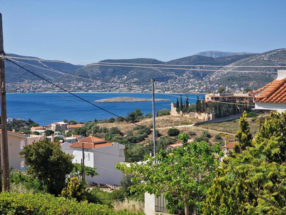 Villa Liana : Luxury Villa With Fantastic Sea View, Near Airport Порто-Рафті Екстер'єр фото