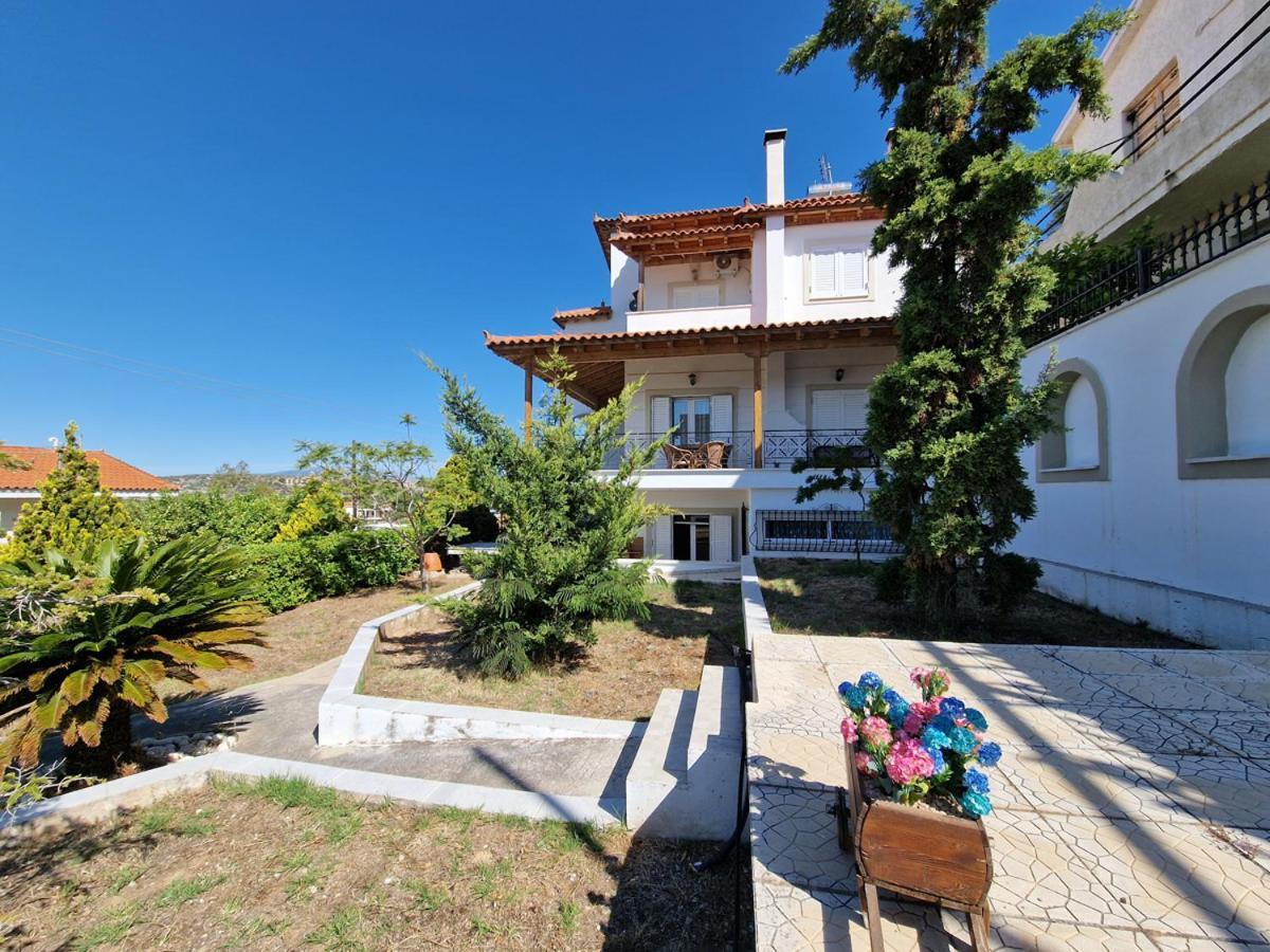Villa Liana : Luxury Villa With Fantastic Sea View, Near Airport Порто-Рафті Екстер'єр фото